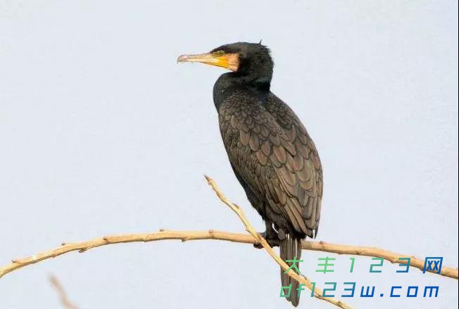 微信图片_20180314164527.jpg