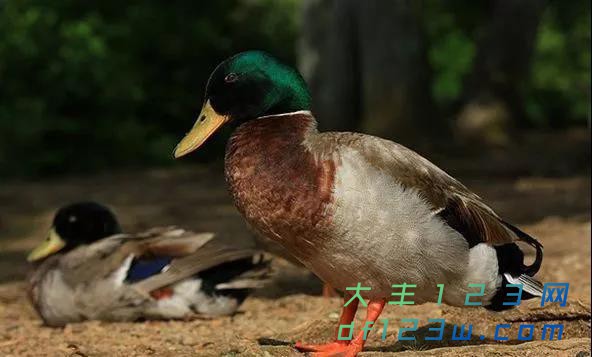 微信图片_20180314164604.jpg