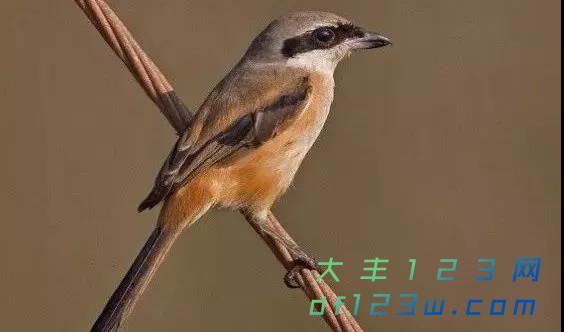 微信图片_20180314164624.jpg