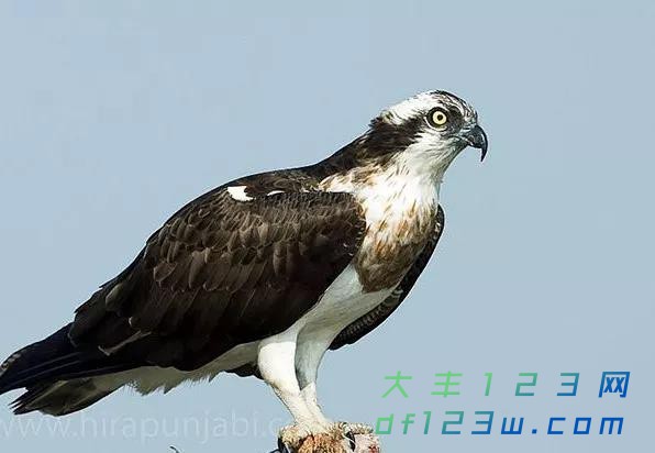 微信图片_20180314164615.jpg