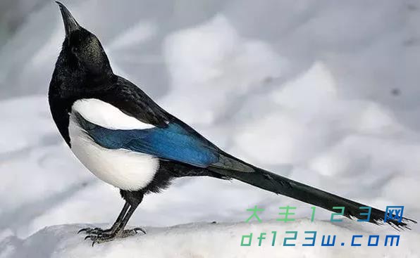 微信图片_20180314164627.jpg