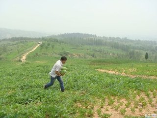 t01053d8515c5d46a79.jpg