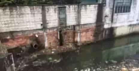微信图片_20180706101122.jpg