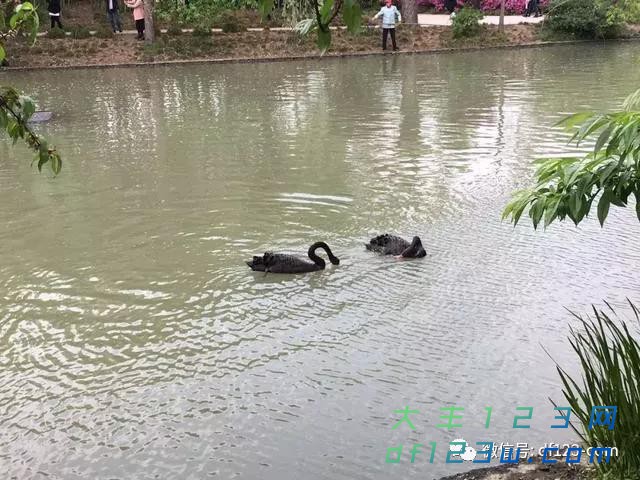 微信图片_20180712105026.jpg