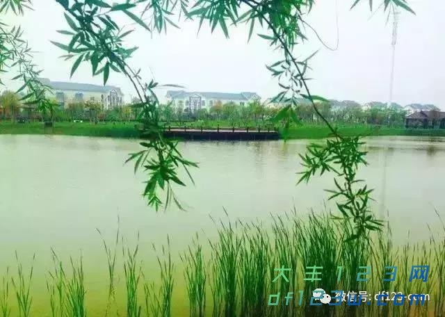 微信图片_20180712105037.jpg