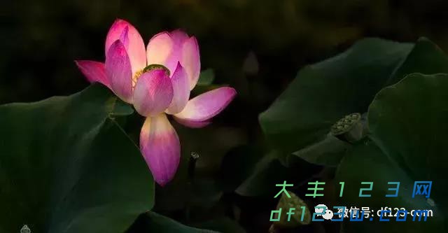 微信图片_20180712105044.jpg