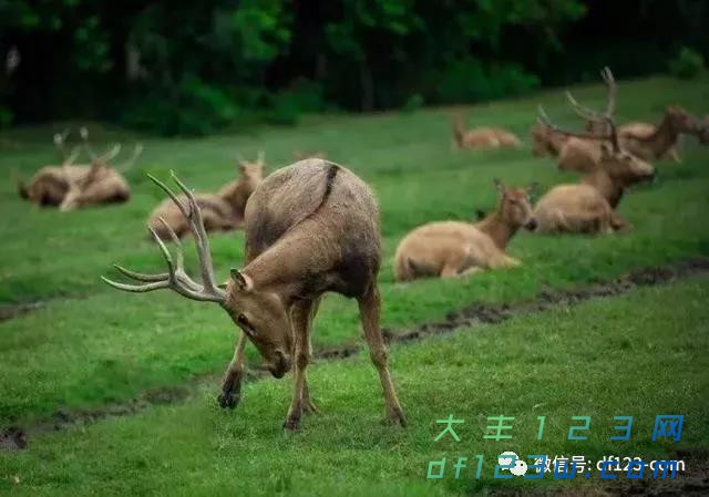 微信图片_20180712105050.jpg