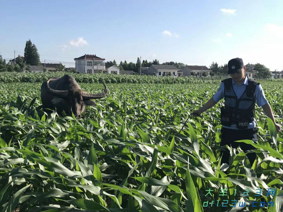 微信图片_20180719140223.jpg