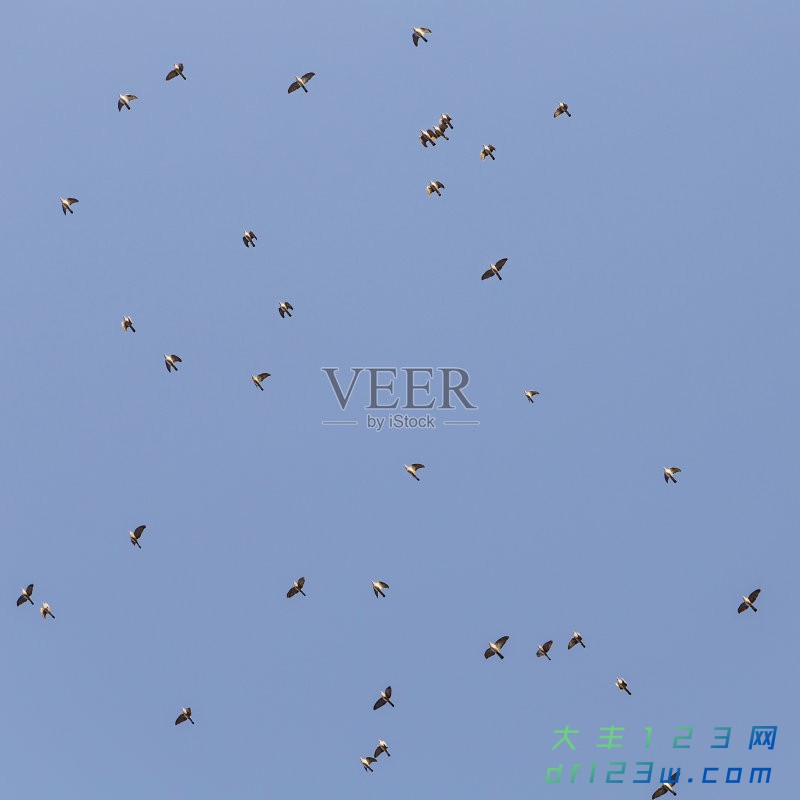 db903263990a0272-bed67ed00492e485-b55f70ebde50ac566e9d4a6a8deafecd.jpg